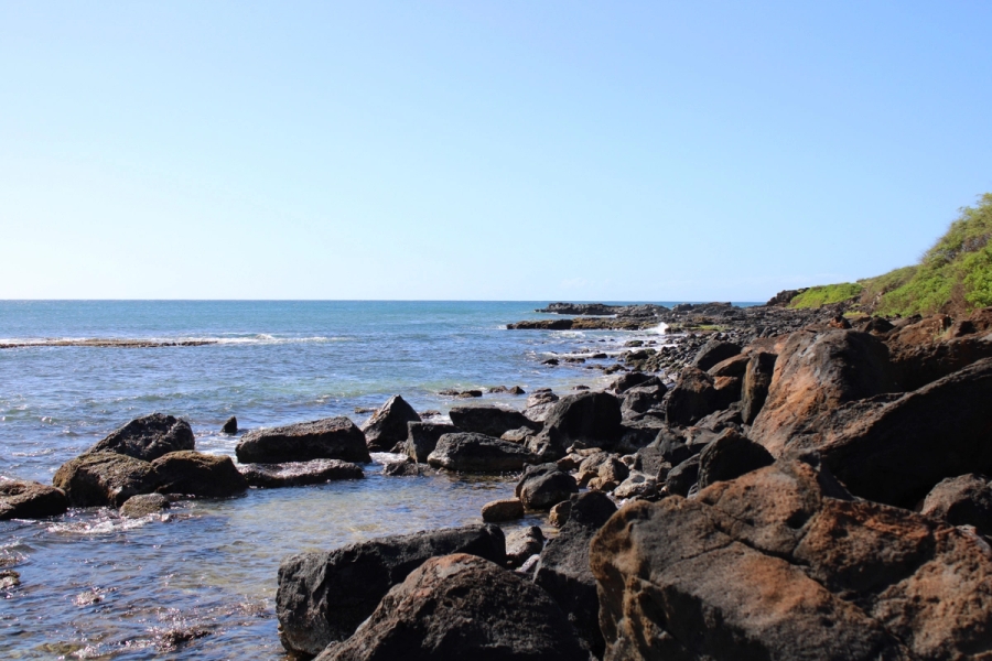 Rocky shores.