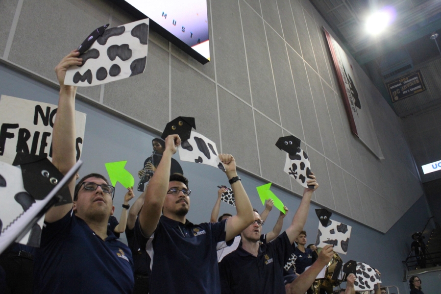 Trumpets holding cow signs.
