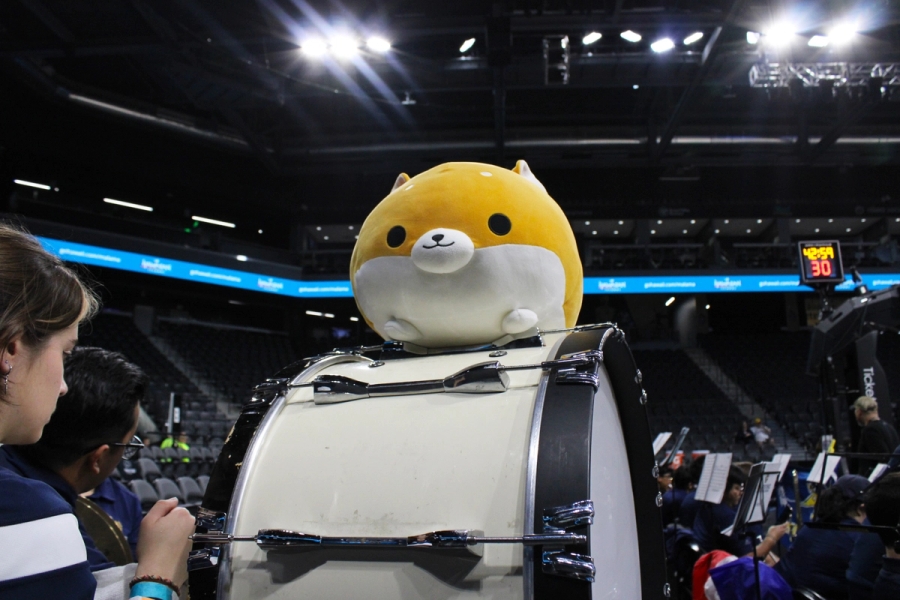 Dog plush on bass drum.