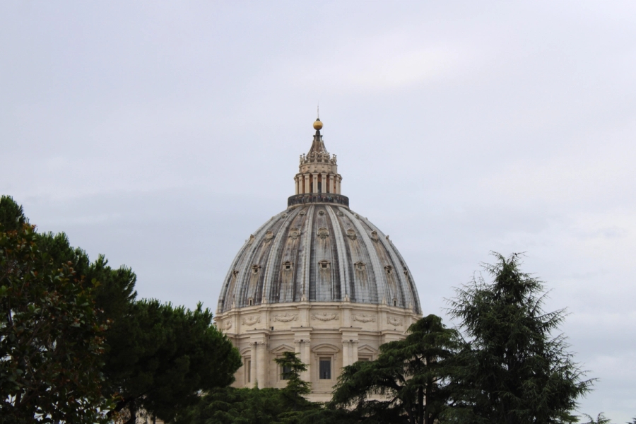 Dome behind trees.