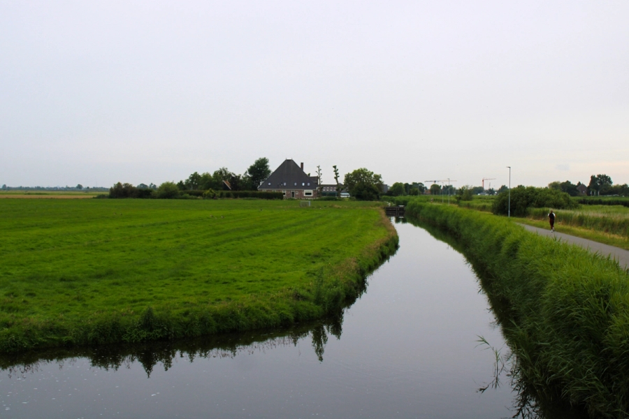 Small river in the middle of a field.