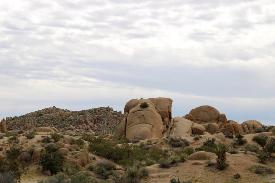 Rocks and sand.
