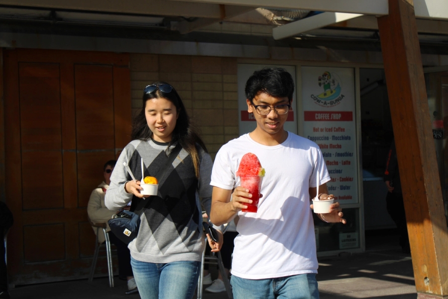 Girl and boy holding ice cream and shave ice.