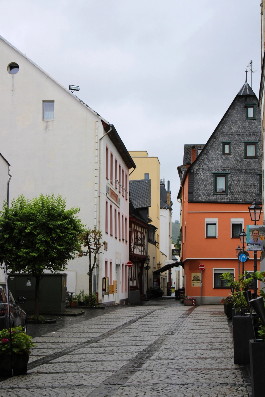 Neighborhood view of Rhineland.