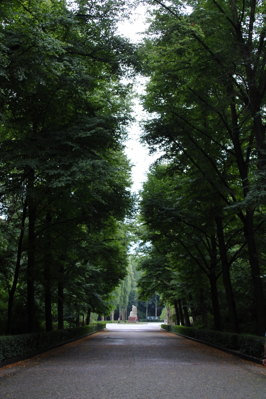 Green trees and a pathway.