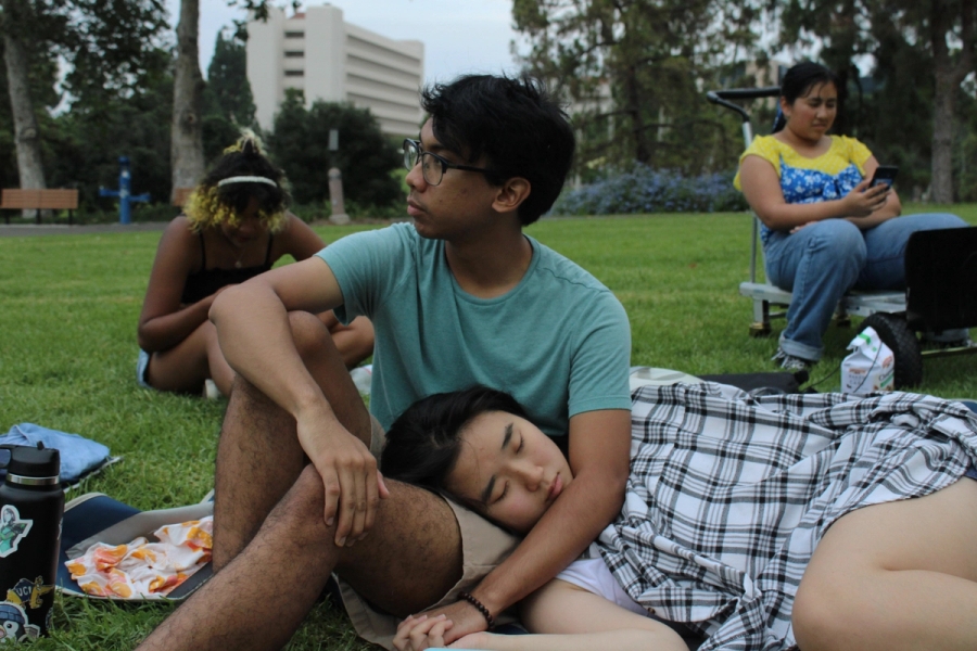 Three girls and a boy sitting in the park.