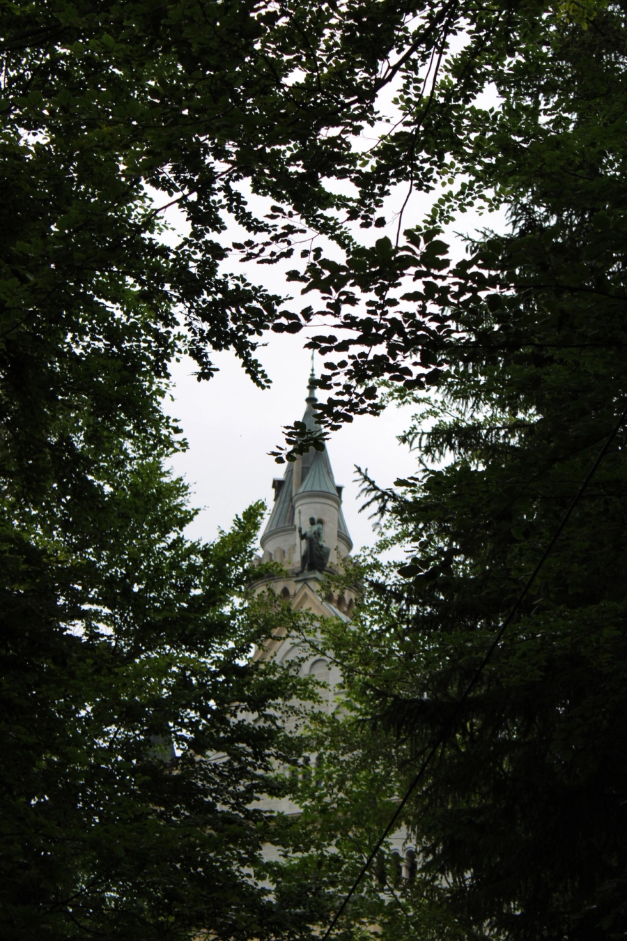 Castle hiding behind trees.