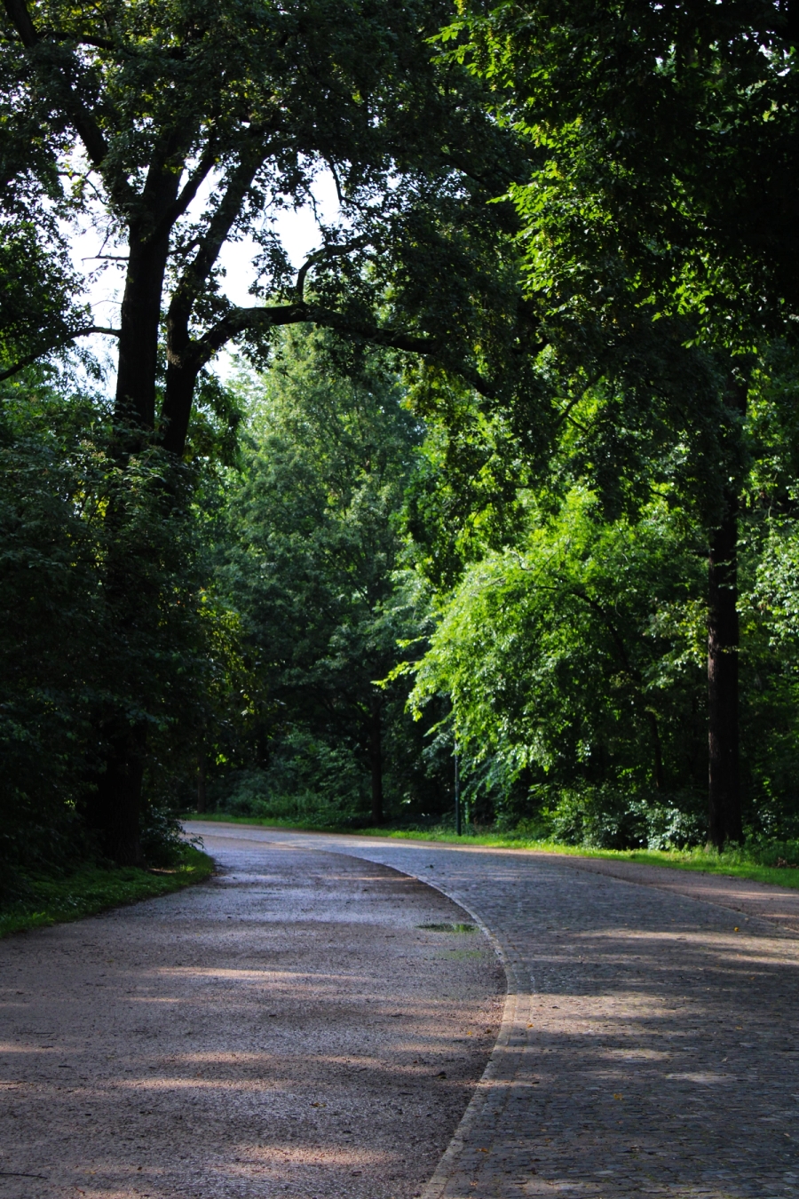 Green trees on the side of a big pathway.