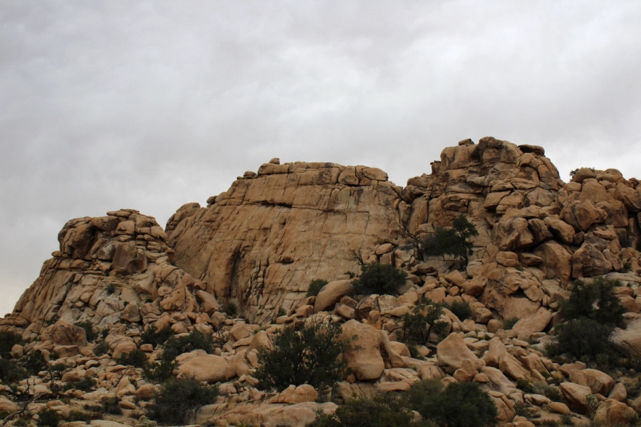 Rocks in the distance.
