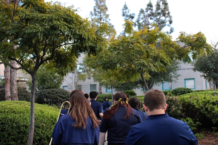 Band members walking through bushes.