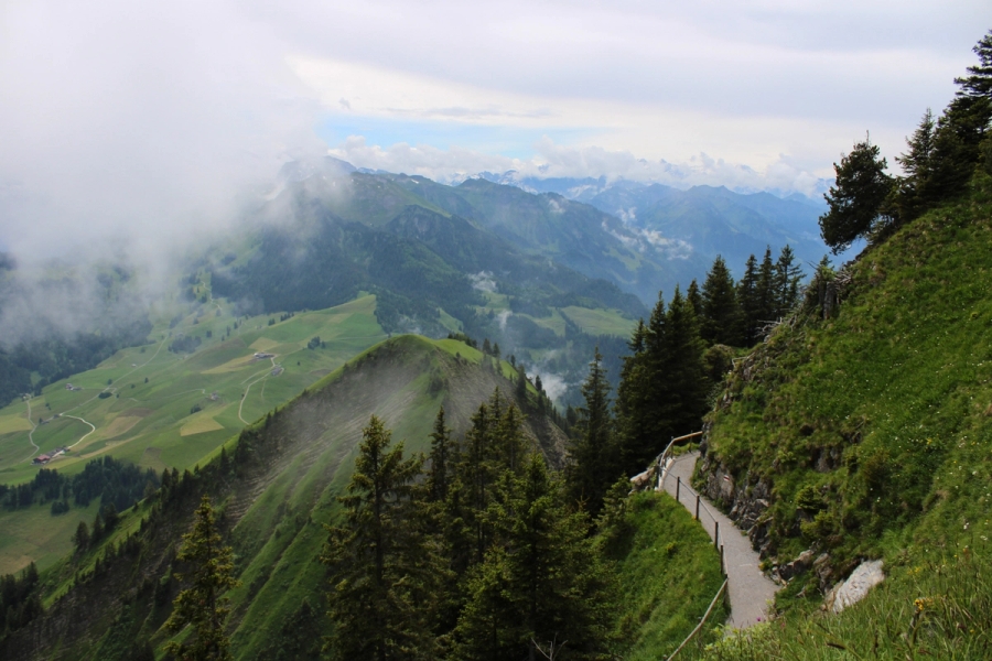 Small pathway up a mountain.