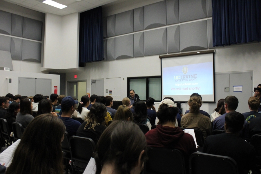 Back POV of director giving a presentation.