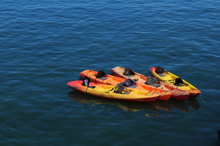 Canoes in the ocean.