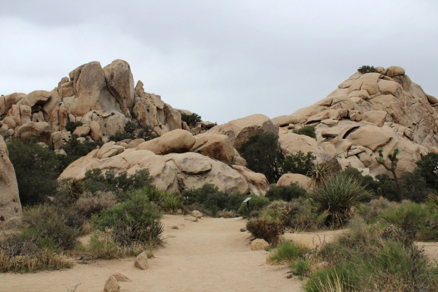 Pathway to rocks in the distance.