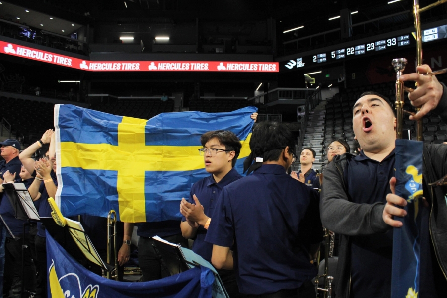 Swedish flag held up by members.