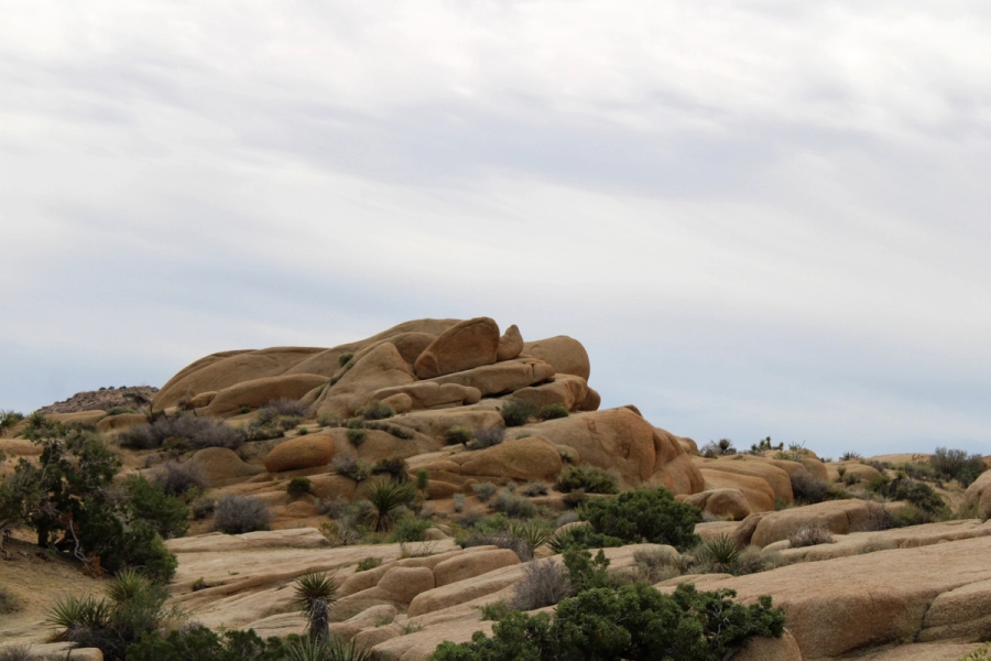 Stacked rocks in the distance.