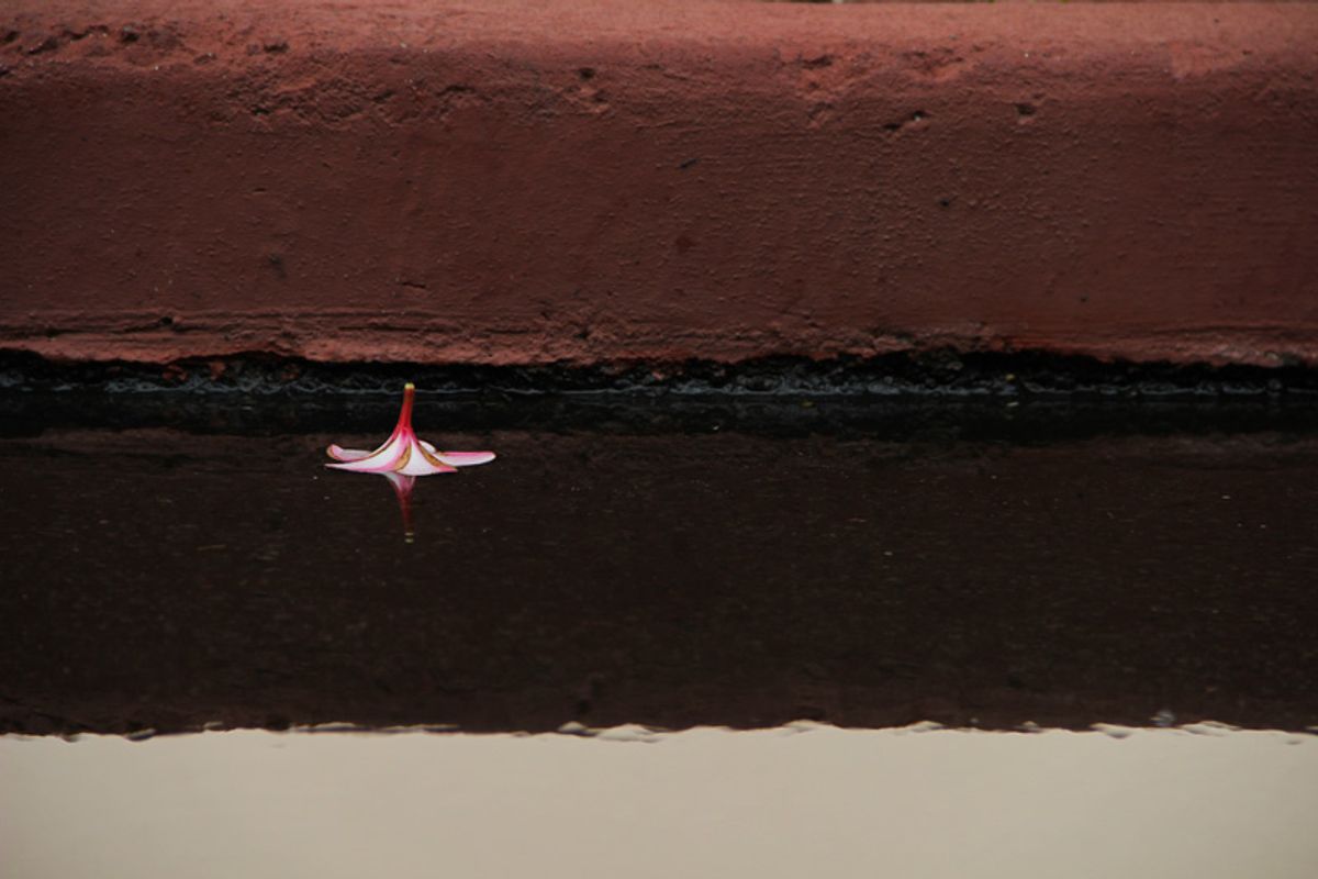 Upside down plumeria in water.