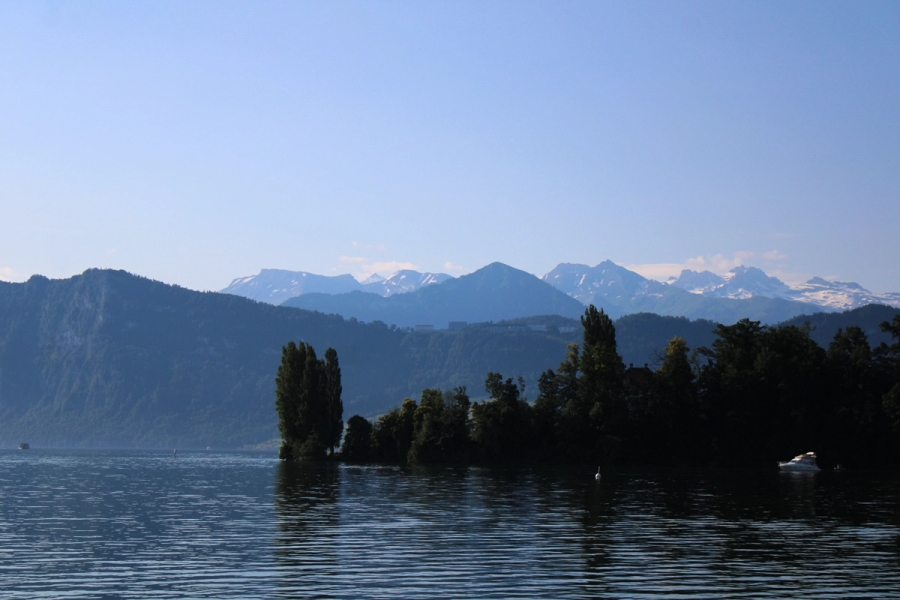 Trees near the shore, mountains in the distance.
