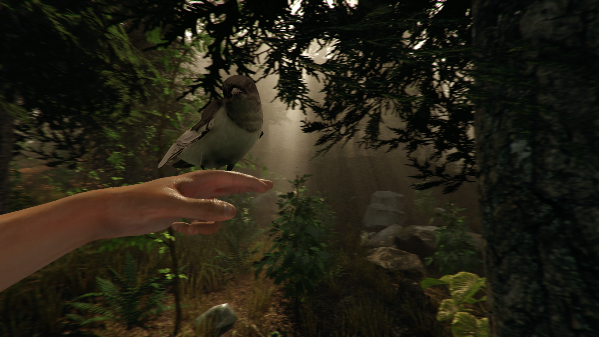 The Forest (Preview)