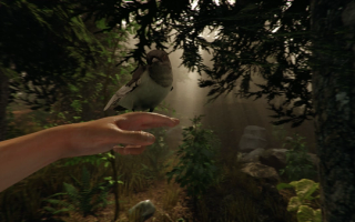 The Forest (Preview)