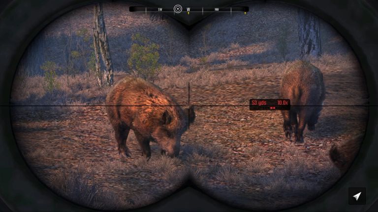 Cabela’s Big Game Hunter: Pro Hunts Review