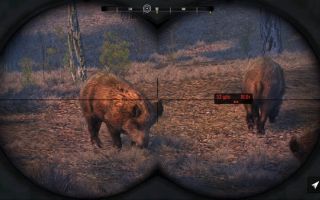 Cabela’s Big Game Hunter: Pro Hunts Review