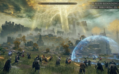 Battle Royale Meets Elden Ring: The Brutal Elegance of Limveld’s Shrinking Map