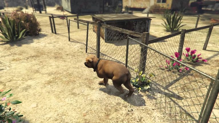gta-v-peyote-plant