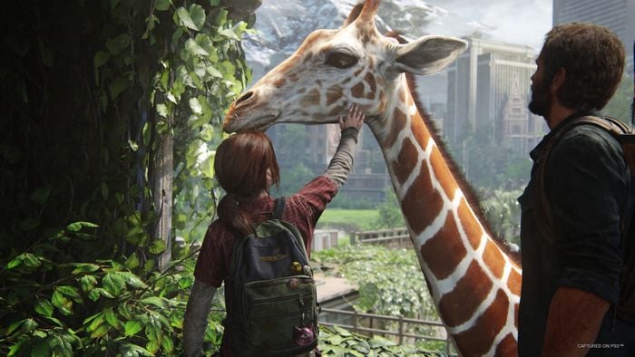 The Last of Us CD Keys: Benefits and Risks of Buying Online