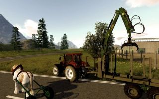 Forestry 2017 Review