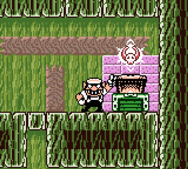 Wario Land 3