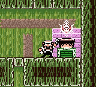 Wario Land 3