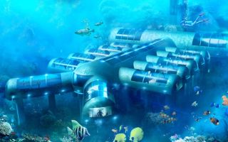 Top 5 Relaxing Survival Games