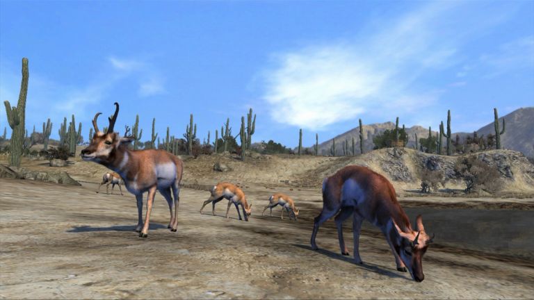 The Best Hunting Games: Unleash The Hunter In You