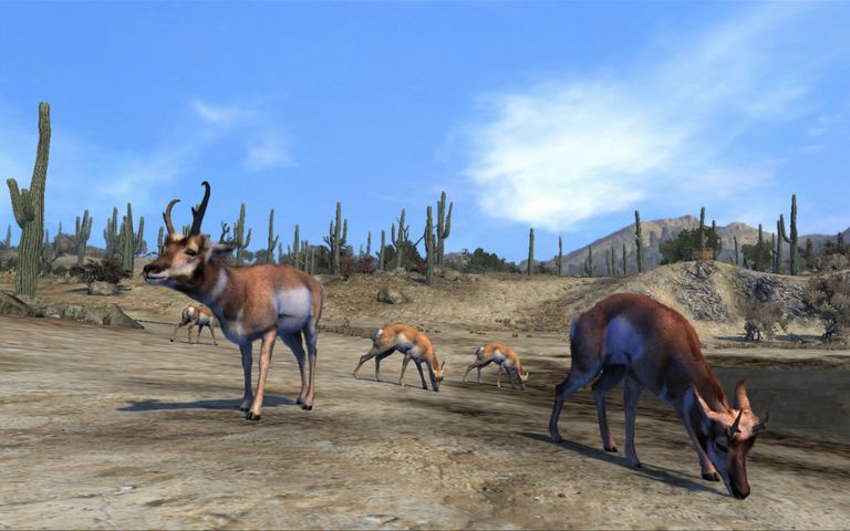 The Best Hunting Games: Unleash The Hunter In You