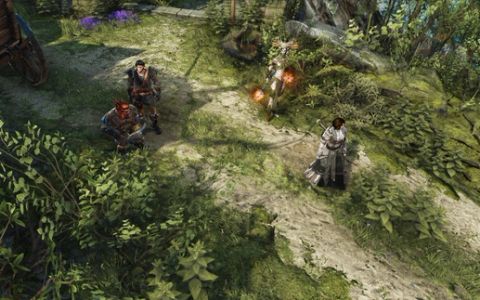 Divinity: Original Sin II Preview – Rivellon, and on, and on