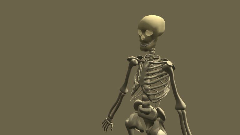 How to Make a Skeleton Game Model – Making a 3d skeleton model for games