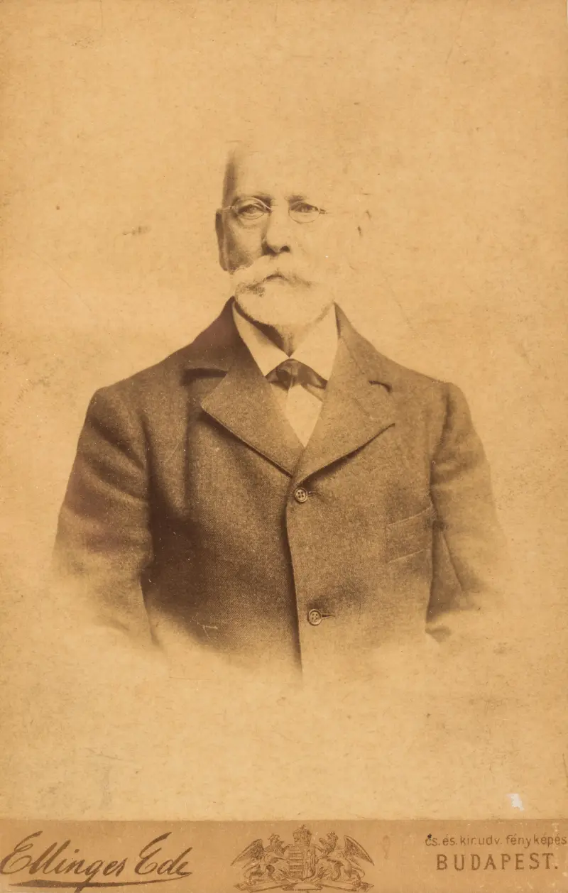 Görgey Artúr arcképe