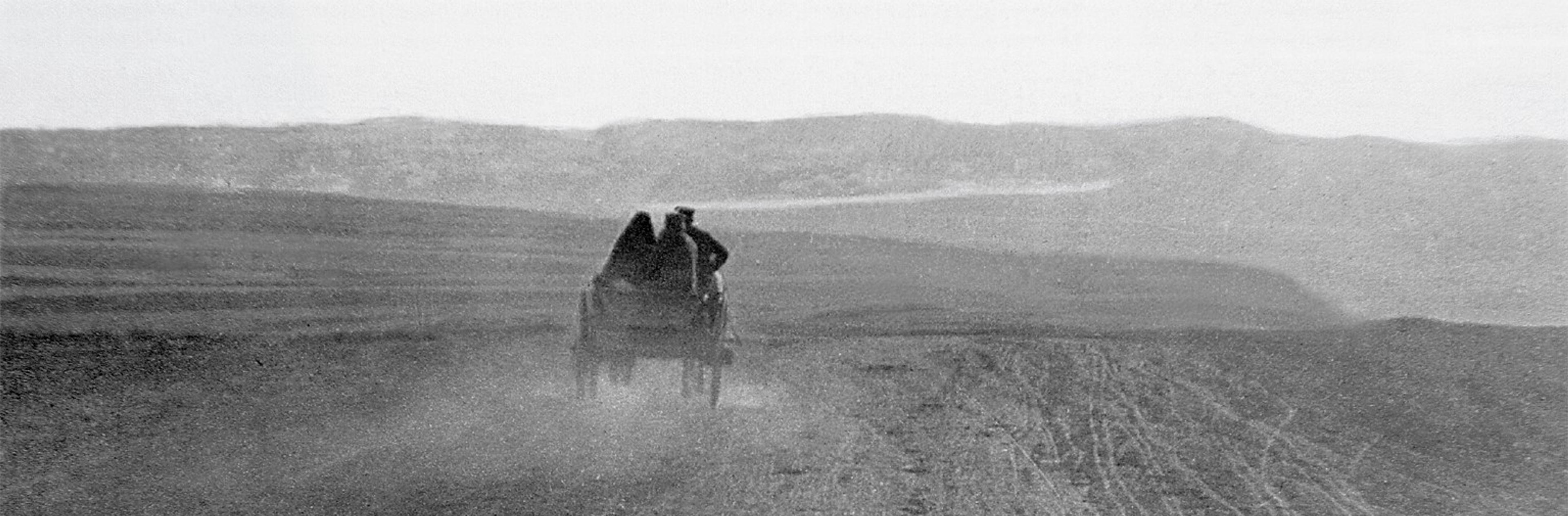 Barlach Pferdekutsche