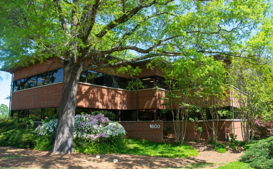 Triangle commercial property