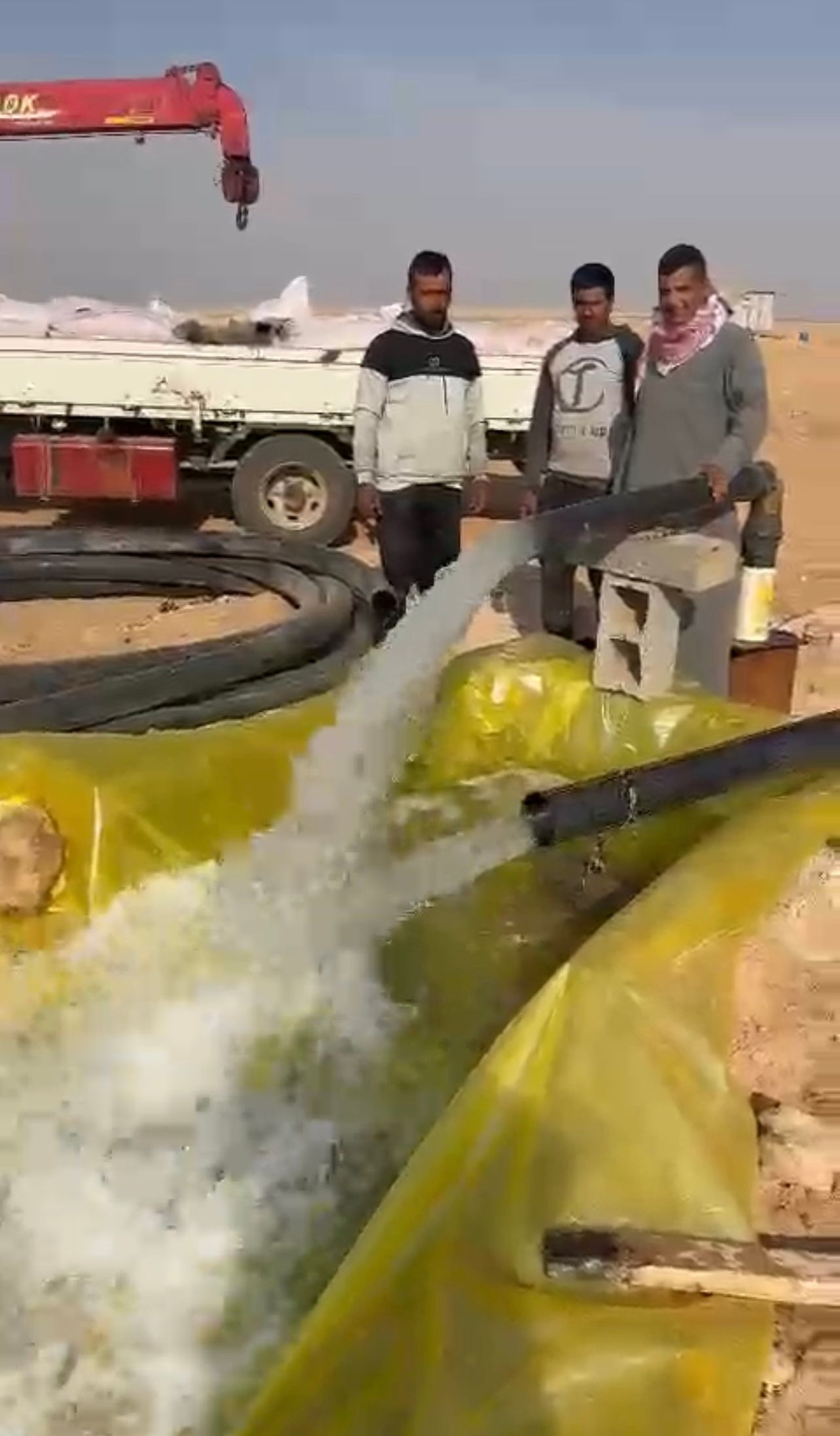صورة المنشور