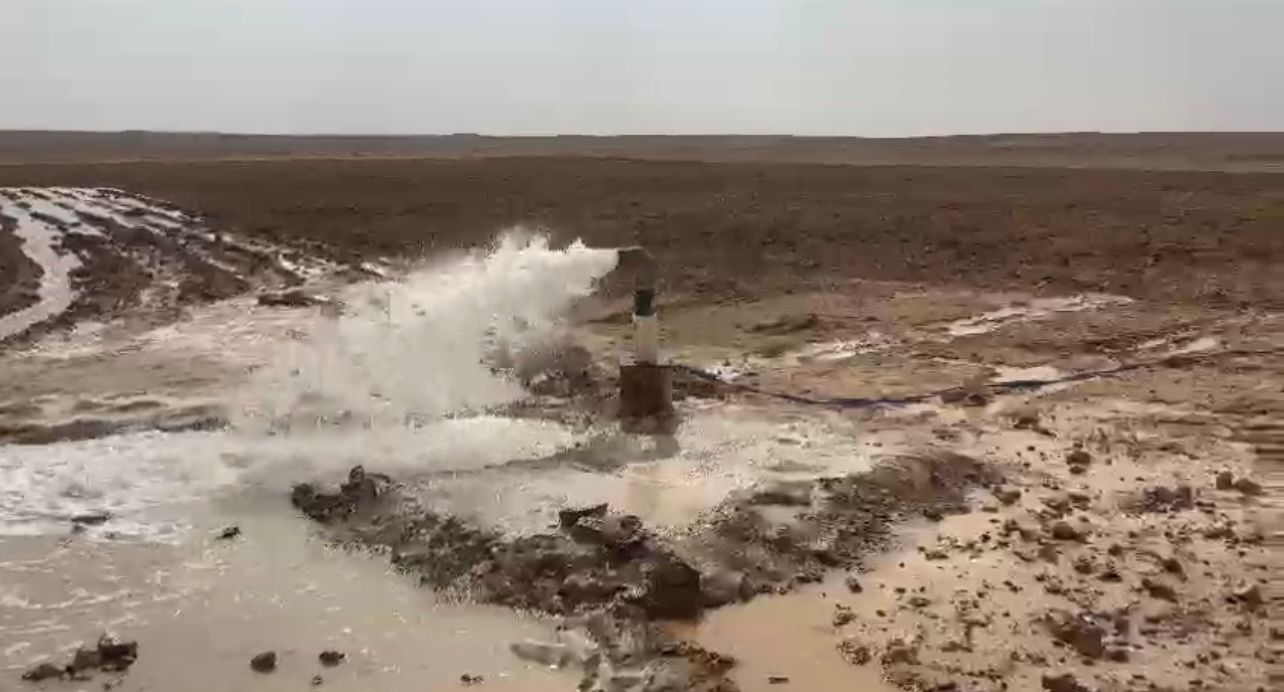 صورة المنشور