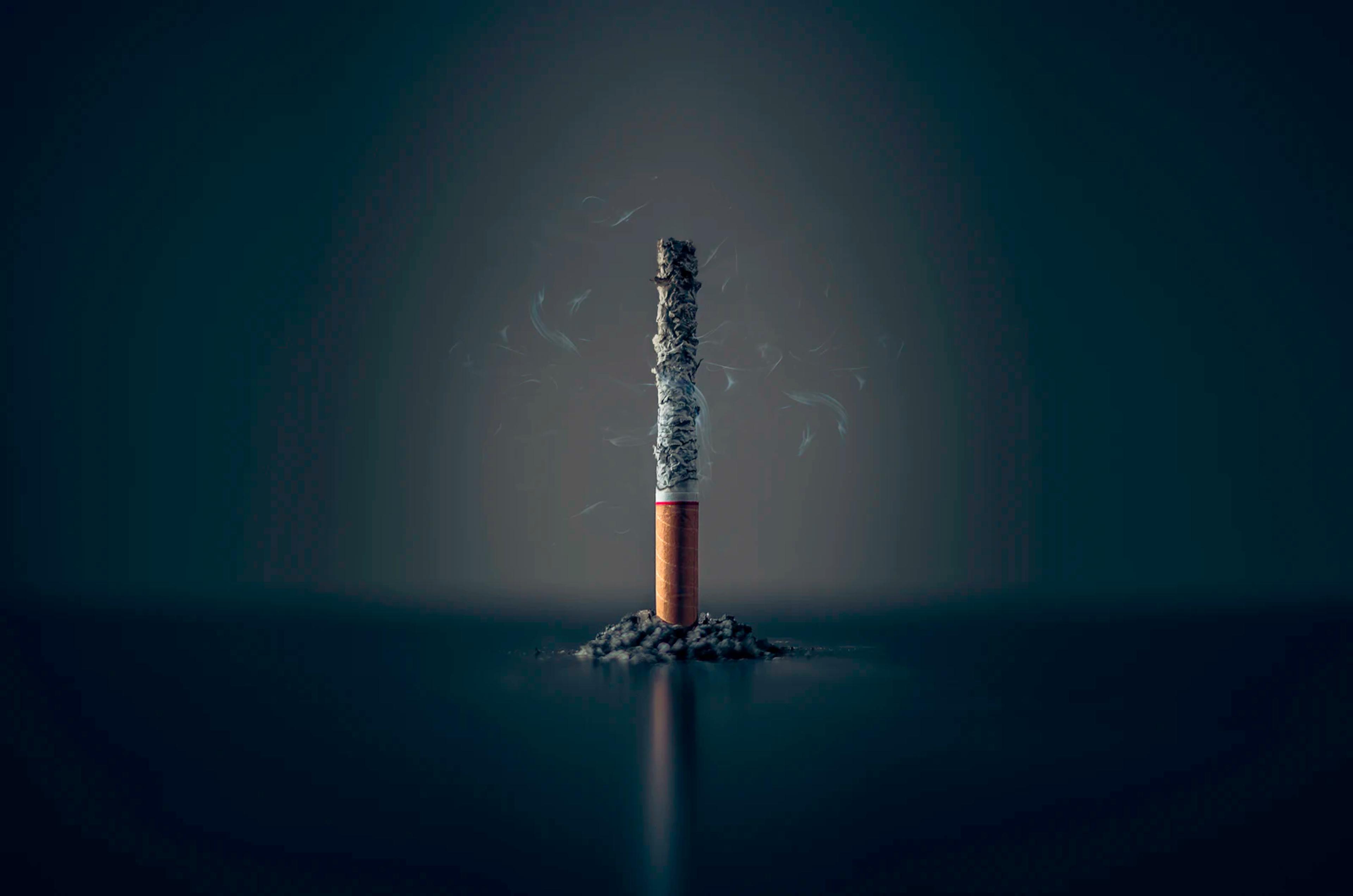 A single cigarette burnt down to ash