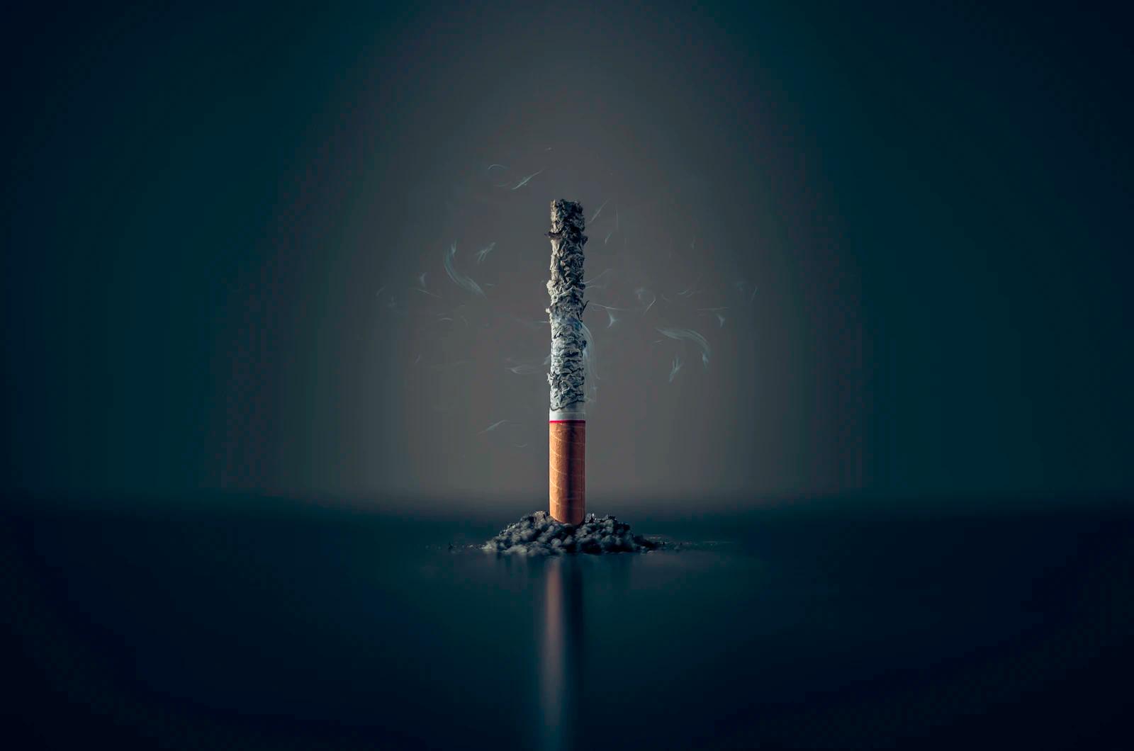 A single cigarette burnt down to ash