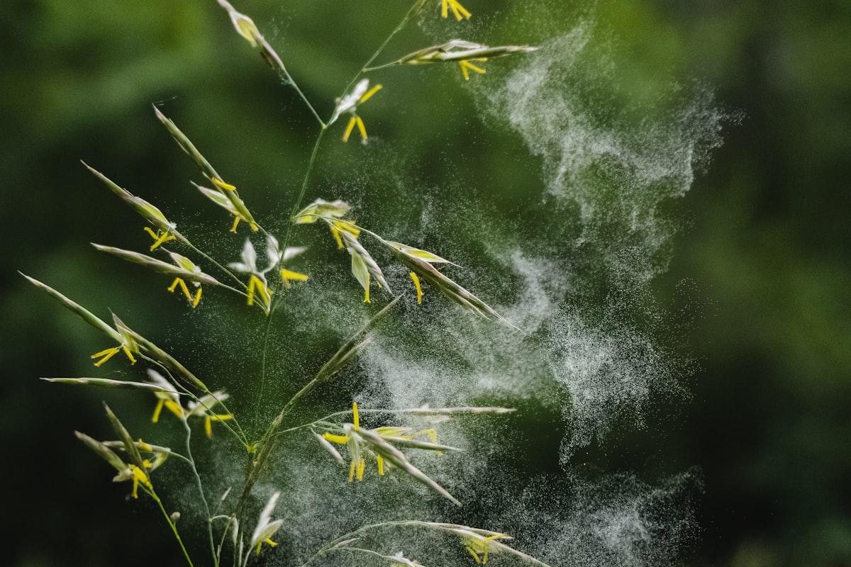 Complete Allergy Profile