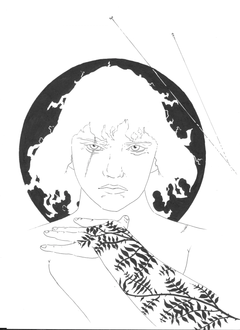 Mes Illustrations