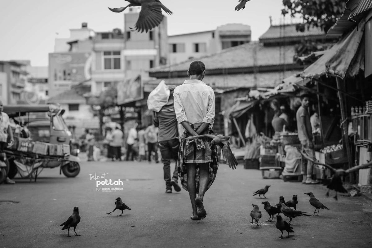 Tale of Pettah