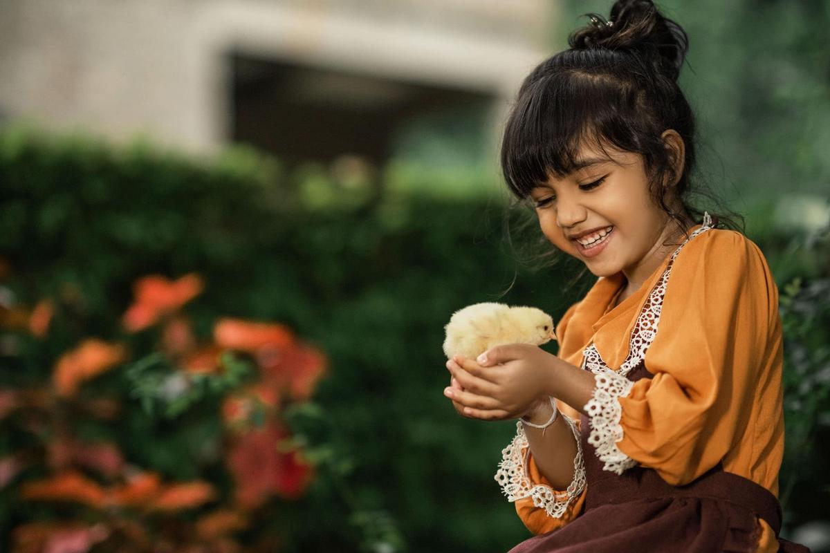 Omeli