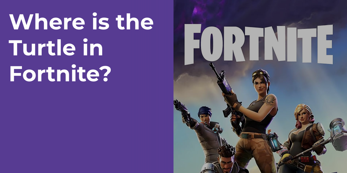 Where is the Turtle in Fortnite?