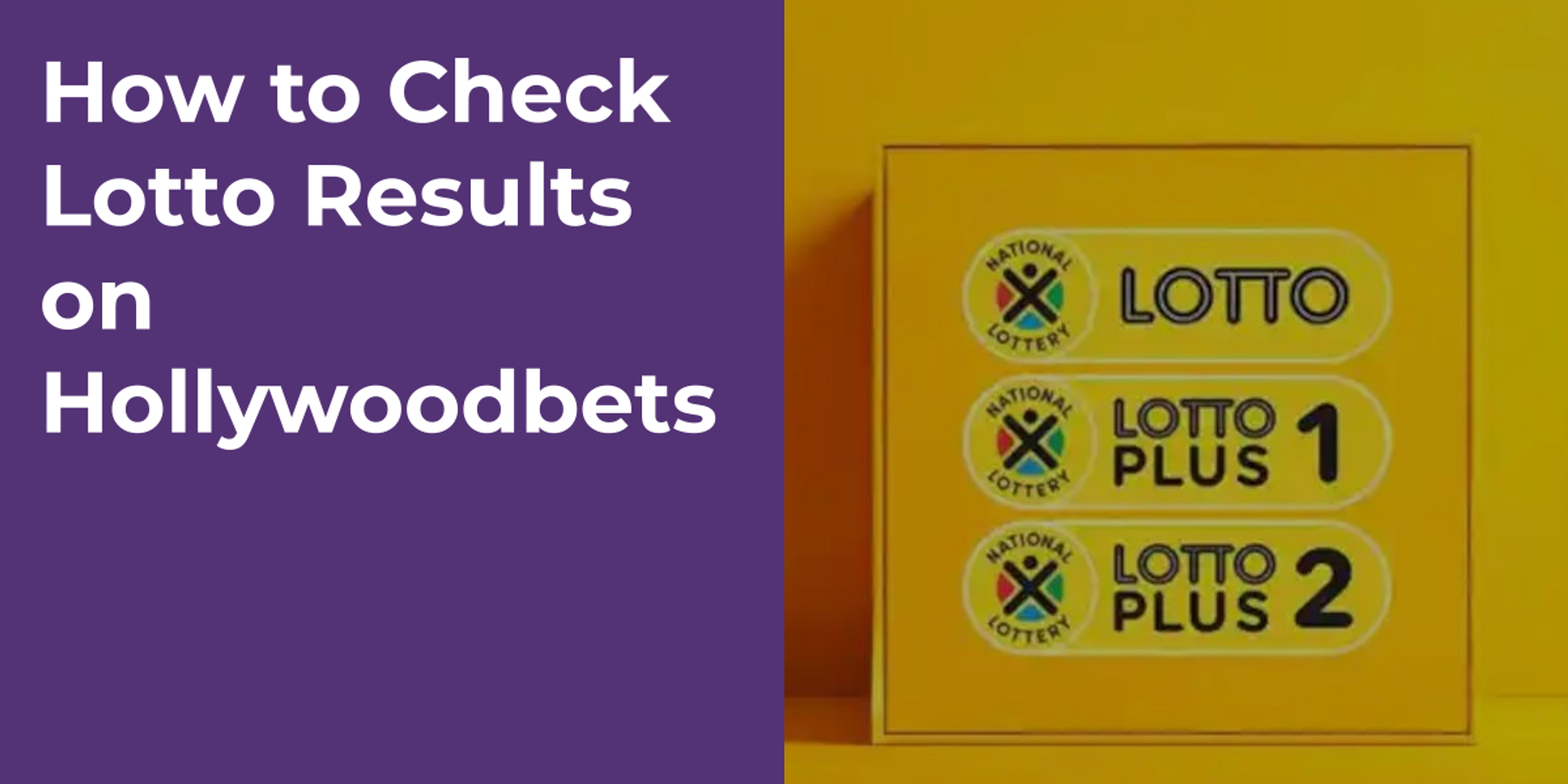 How to Check Lotto Results on Hollywoodbets